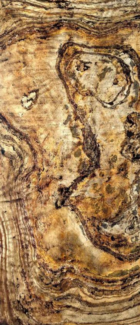 Multicolor Beige Translucide