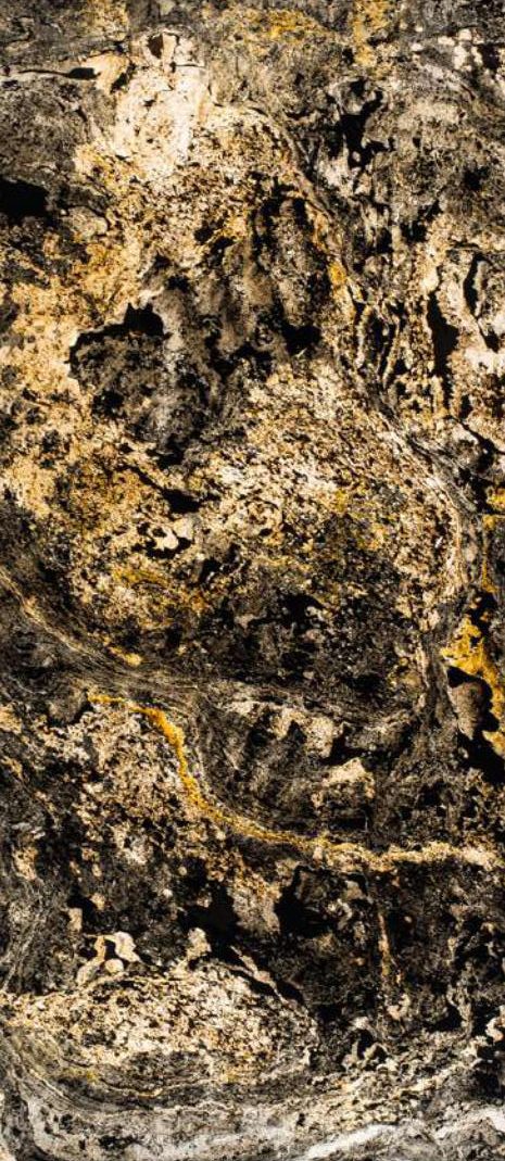 Multicolor Graphite Translucide