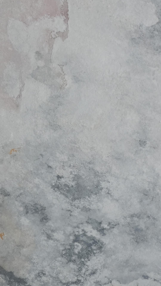 Feuille de pierre naturelle Pearl Grey - Pellstone
