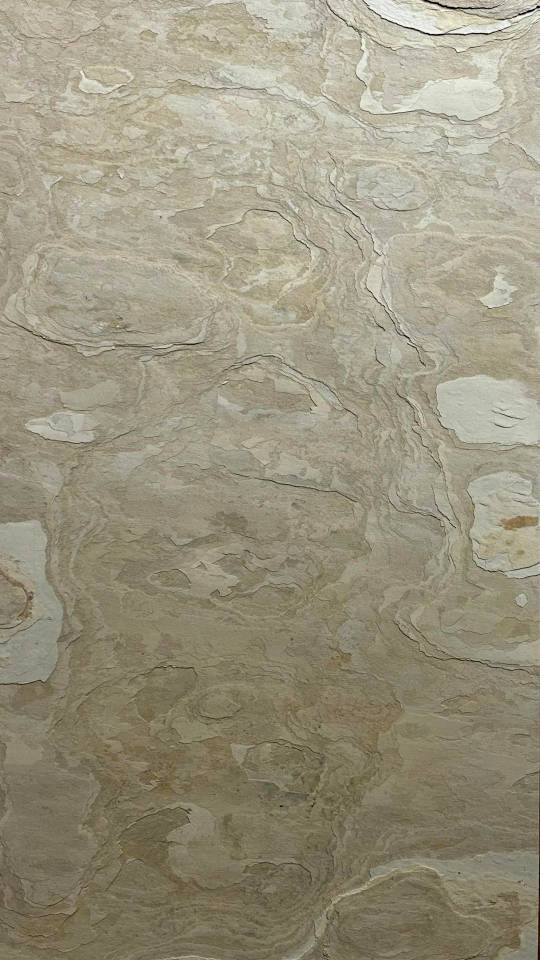 Feuille de pierre naturelle Thar Sand - Pellstone